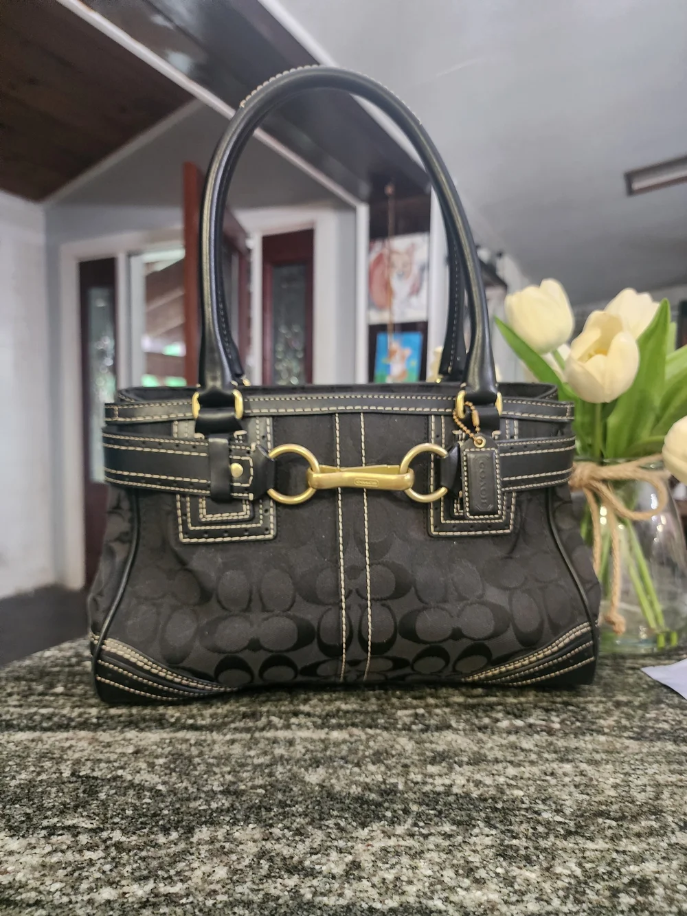 Coach Hampton Signature with Gold Horsebit Hardware & Accent Belt